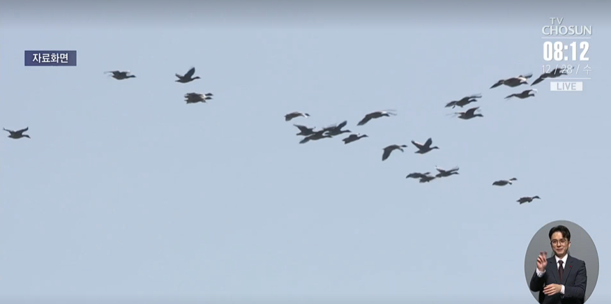 误把鸟群当做无人机机群！韩军出动20架军机拦截