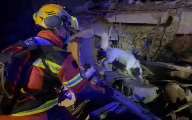 香港特区救援队发布搜救犬在土工作照 市民留言打气