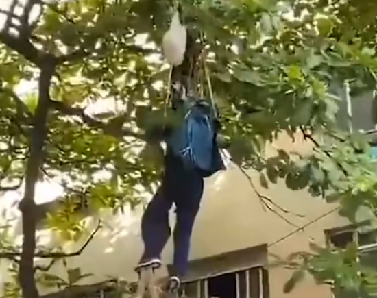 巴西独立日阅兵式训练 三名伞兵意外坠落一人挂树上