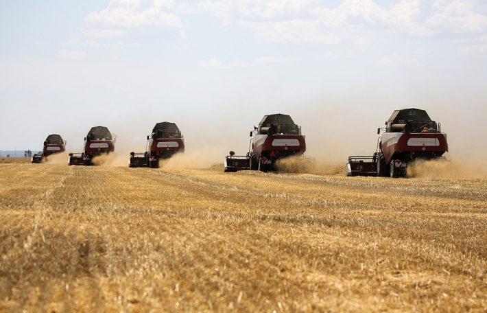 ▲俄罗斯农场工人收割小麦（资料图）