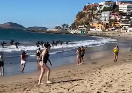 墨西哥特种部队突然现身海滩：队员持枪从水中冒出